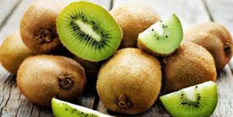 ممنوعیت صادرات کیوی تمدید شد