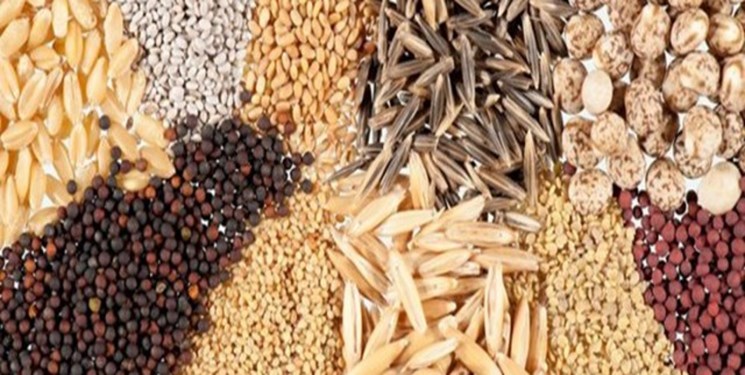 برای تولید بذر سبزی و صیفی در شرایط تحریم آماده نبودیم/ وارداتچیها اجازه تولید داخل نمی دادند