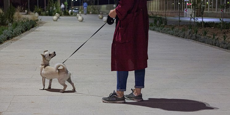 جولان سگ‌ها در پارک های تهران در روزهای کرونایی/مدیران شهری: فقط می توانیم تذکر دهیم