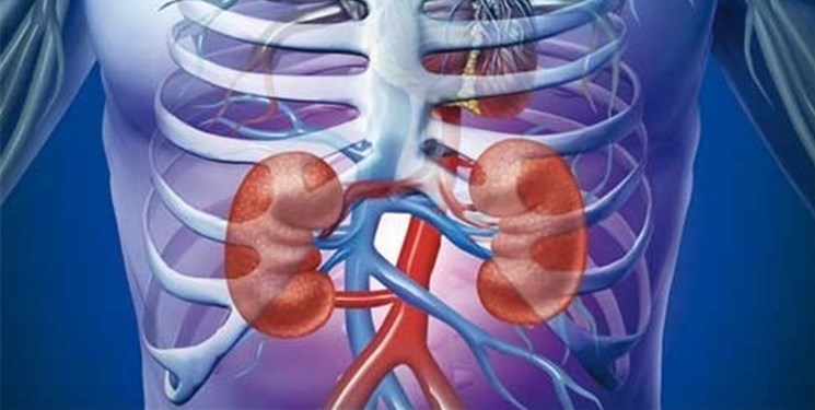 کرونا سبب نارسایی «کلیه» می‌شود