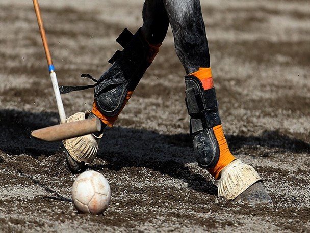 برگزاری دوره آموزشی چوگان با عنوان طرح تربیت مربی