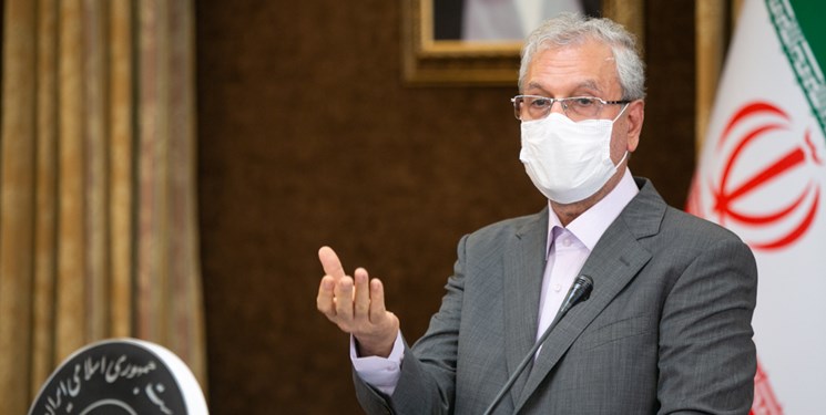 ربیعی: مردم نباید از رعایت پروتکل‌ها خسته شوند/ انتقال ویروس از انسان به حیوان مشاهده شده است