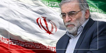 شهید فخری‌زاده که بود؟