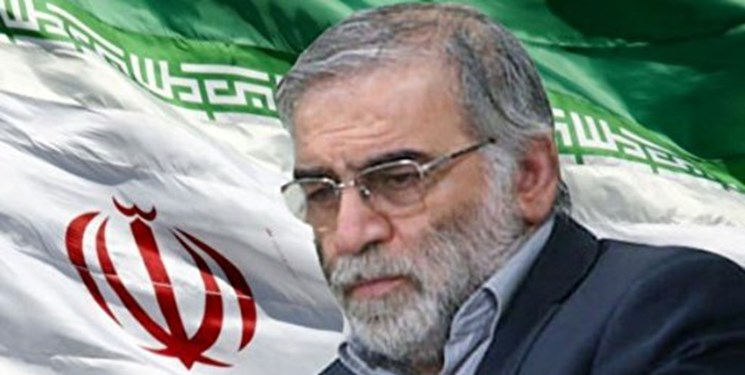 دبیرکل ستاد مبارزه با  مواد مخدر شهادت« فخری زاده» را تسلیت گفت