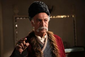 مردمداری سخت سینما و تلویزیون جشن سربرون