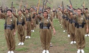 فریب نوجوانان کُرد راهکار معاندان برای تجزیه ایران