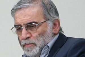 اولین واکنش شاعرانه به ترور شهید فخری‌زاده - کراپ‌شده