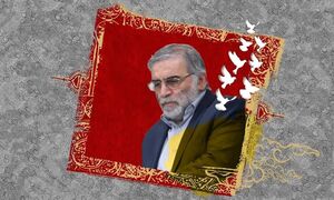 واکنش جامعه علمی و دانشگاهی به ترور دانشمند ایرانی