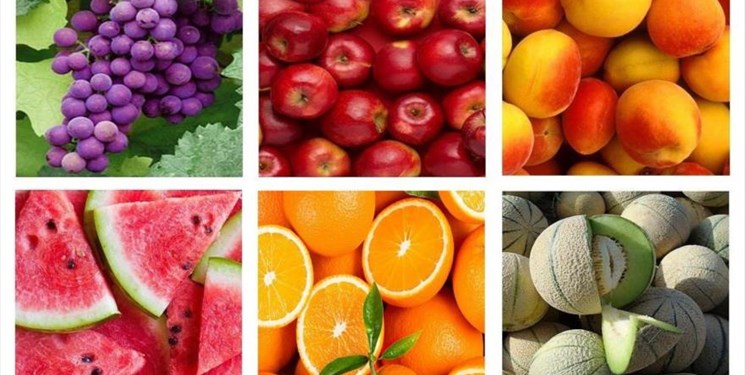 جزئیات طرح اصلاح قانون تضمین خرید خدمات کشاورزی/ قیمت نباید از 90 درصد میانگین بازار جهانی کمتر باشد