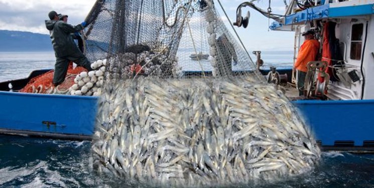 دردسر جدید برگزیت برای ماهیگیران اروپایی و انگلیسی