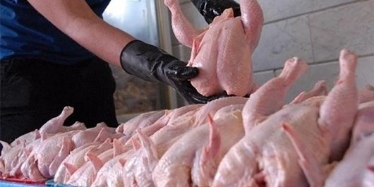 وزیر جهاد کشاورزی: بزودی قیمت مرغ کاهش پیدا می‌کند