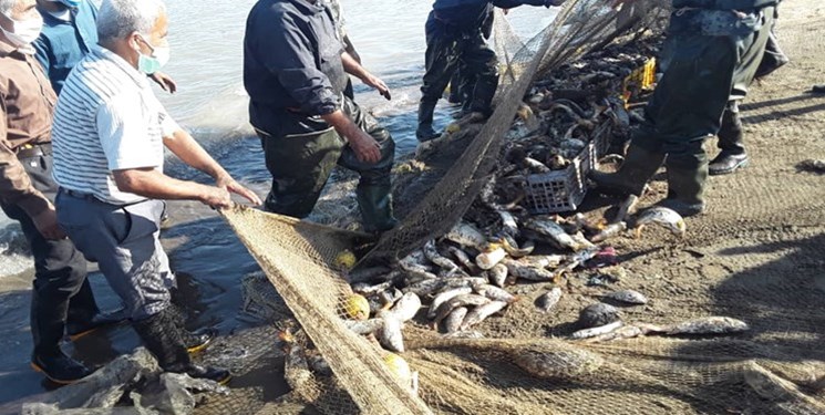 سهمیه بیمه صیادان به خانواده مالکان لنج می‌رسد/ بیمه صیادان در زمان اسارت پرداخت نشده است