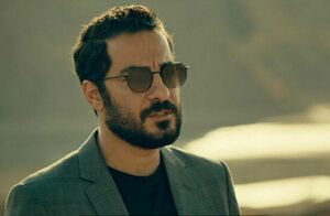 سریال قورباغه