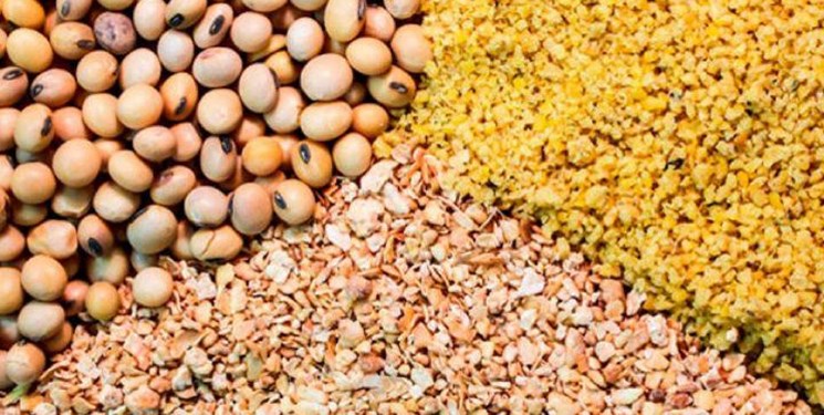 تولیدکننده نتوانست نهاده دامی با ارز 4200 تومانی پیدا کند