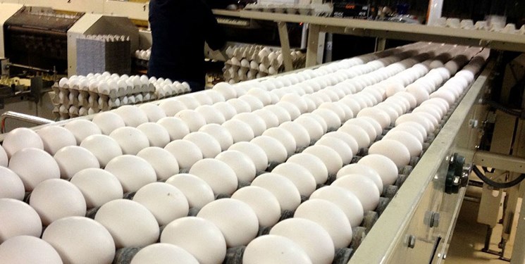 الزام به عرضه تخم مرغ بسته بندی در شرایط یخچالی  لغو شد