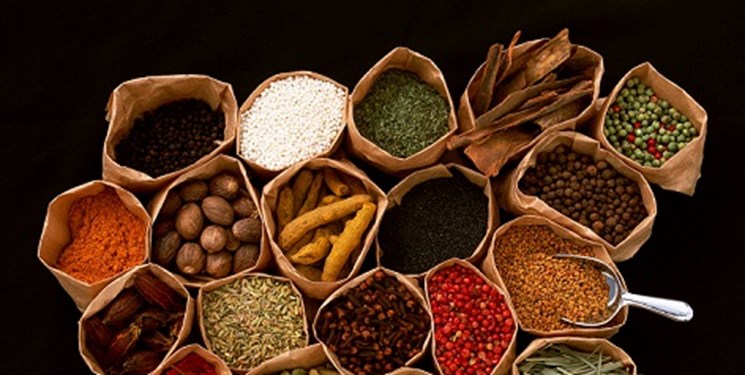 آرزوی 30 ساله وزیر بهداشت برآورده می‌شود