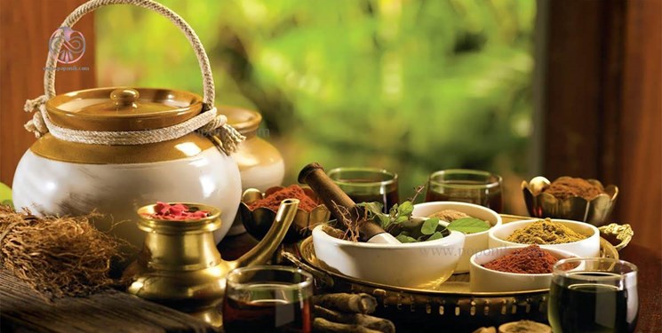 پیشگیری از آلزایمر در سایه طب ایرانی/ سالمندان کدام ادویهها را مصرف کنند؟