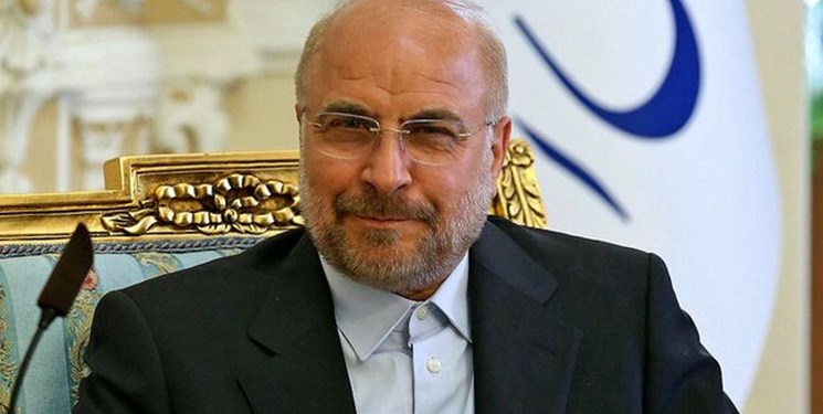 وزیر دفاع و معاونانش با رئیس مجلس دیدار کردند