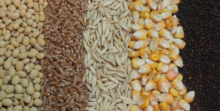 مصوبه ستاد تنظیم بازار درباره «ترخیص درصدی»  کالاهای اساسی