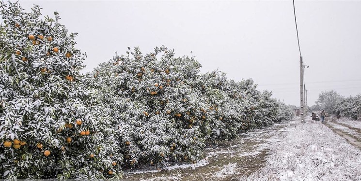 برف و باران در کشور تا پایان هفته/هشدار کاهش دما تا 20 درجه و توصیه به کشاورزان