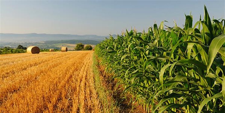 آغاز آئین بهرهبرداری از طرحهای ملی وزارت جهاد کشاورزی با حضور روحانی