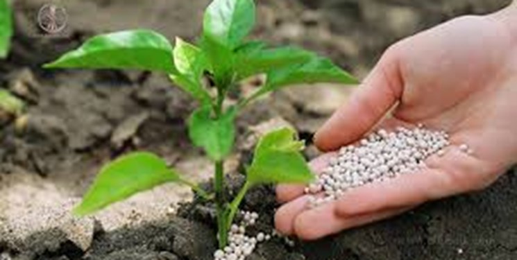 بازار رانت 15 هزار میلیارد تومانی نهاده‌های شیمیایی مانع استفاده از کودهای بیولوژیک می‌شود