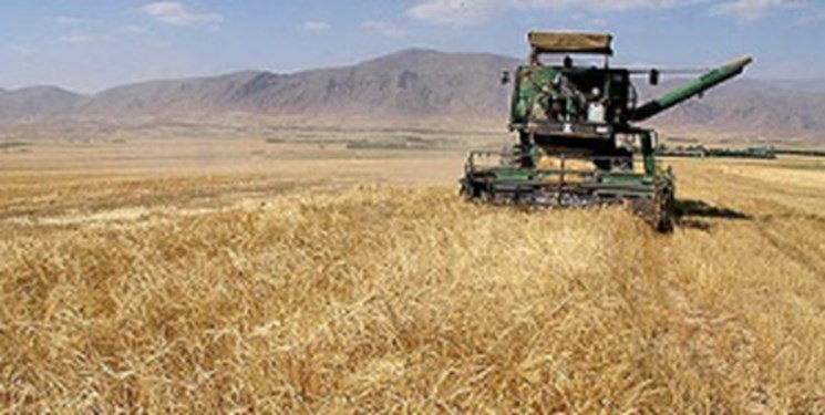 اعتبارات کشاورزی در بودجه 1400 بیش از 46 درصد افزایش یافته است