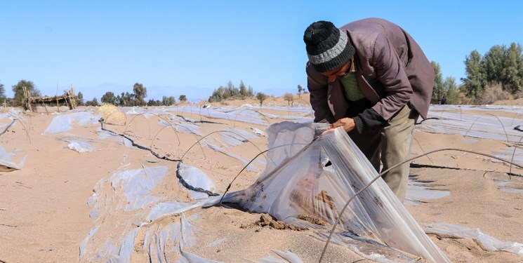 تأکید جهانگیری برای رسیدگی به خسارات کشاورزان شهرستان رودبار کرمان