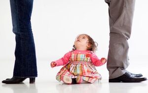 والیدن نمایه فرنزدان نمایه خانواده نمایه