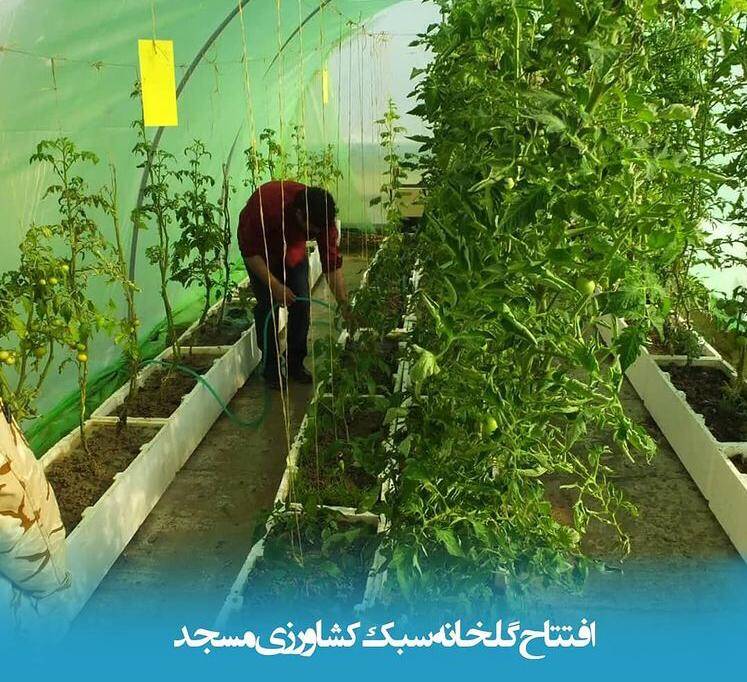 طلبهای که عطای تدریس را به لقای خادمی مردم بخشید+عکس