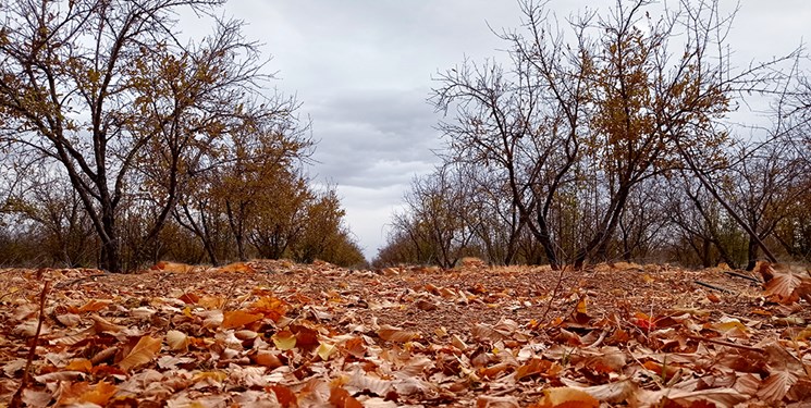 افزایش تدریجی دما در اغلب شهرها تا پایان هفته/آسمان تهران 2 روز آینده صاف است