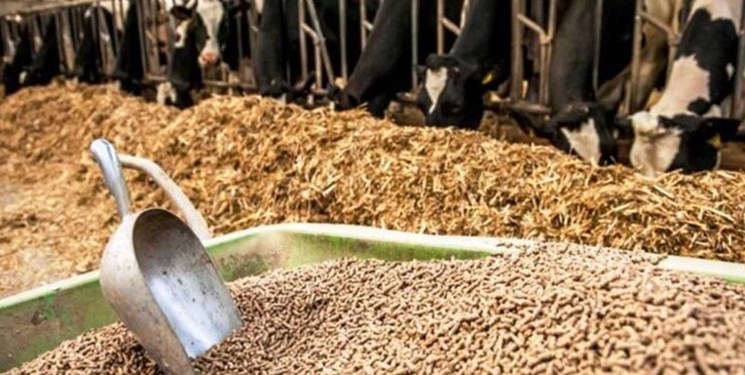 واردات جو از عراق در صورت قبول شرایط ایران/ تخصیص 1.3 میلیارد یورو برای واردات کالای اساسی