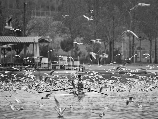 روئینگ انتخابی المپیک آسیا و اقیانوسیه| زمان و محل برگزاری مسابقات اعلام شد