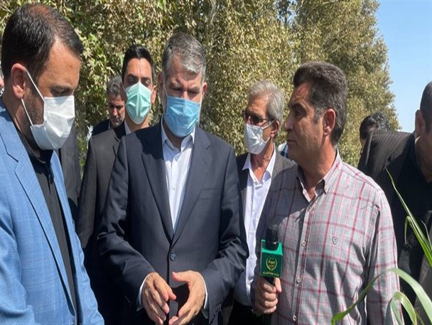 بازدید وزیر جهاد از بخش‌های کشاورزی اسلامشهر/ ساداتی‌نژاد: الگوی کشت از فصل پاییز ابلاغ می‌شود