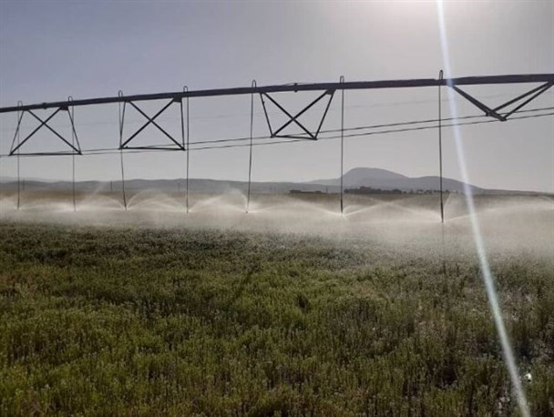 ۴ هزار هکتار پایلوت برای هوشمندسازی آبیاری در۱۳ استان اجرا می شود