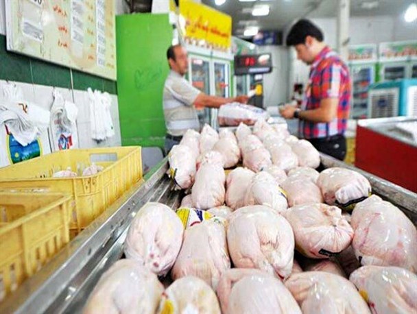 قیمت مرغ در میادین تره بار ۵۶ هزار تومان است/ روند افزایشی تولید مرغ ادامه دارد