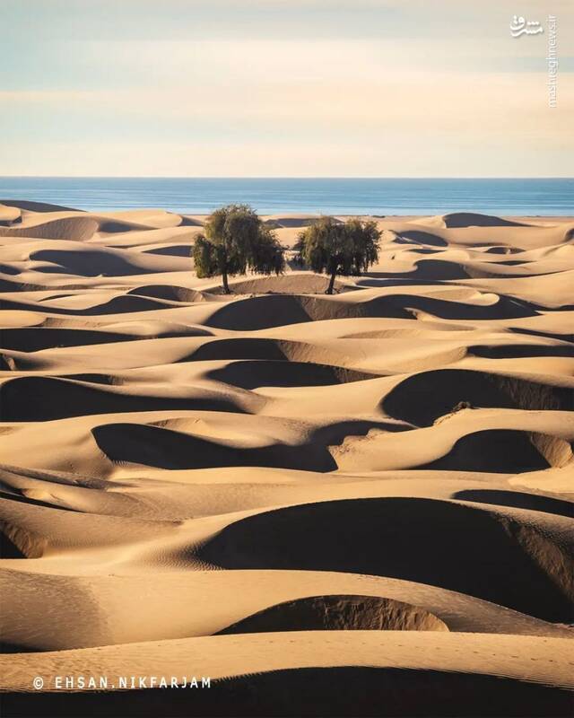 تلاقی شگفتانگیز کویر و دریا در سواحلمکران