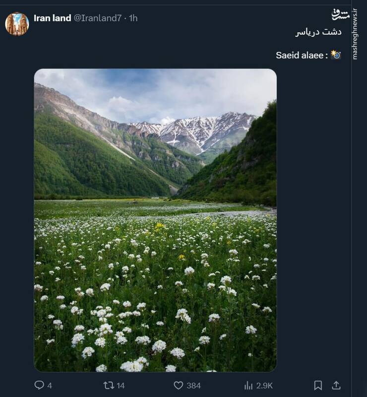 گلهای بهاری در دشت زیبای دریاسر