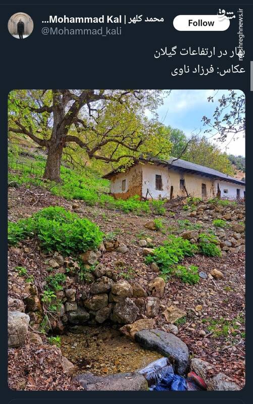 بهار دلانگیز در ارتفاعات گیلان