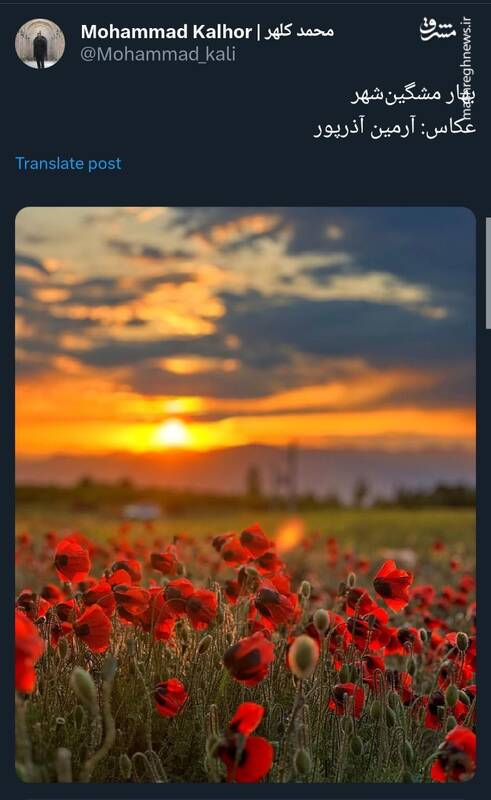 بهار مشگینشهر