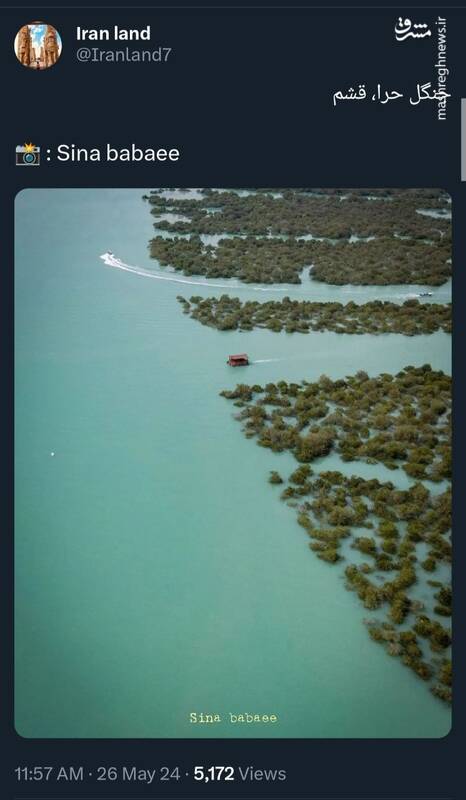 جنگل شگفتانگیز حرا، قشم