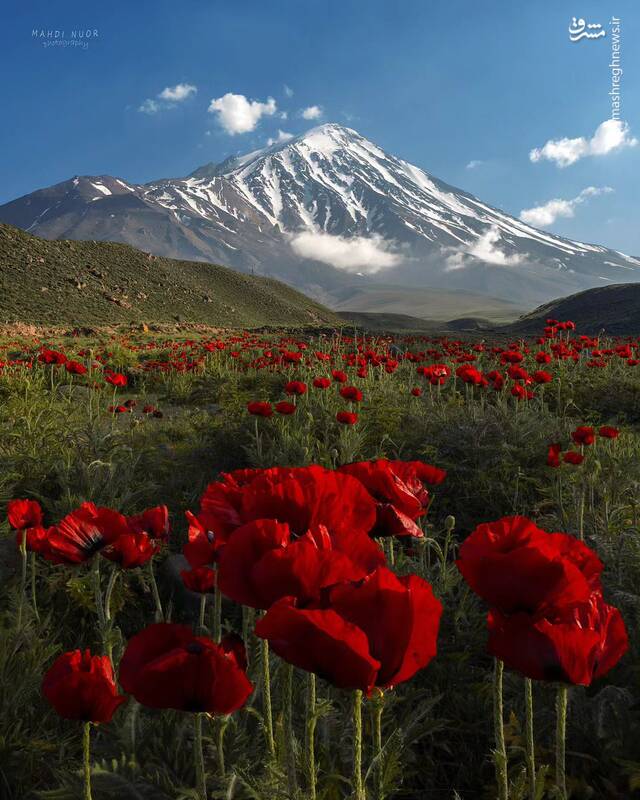 دماوندِ باشکوه